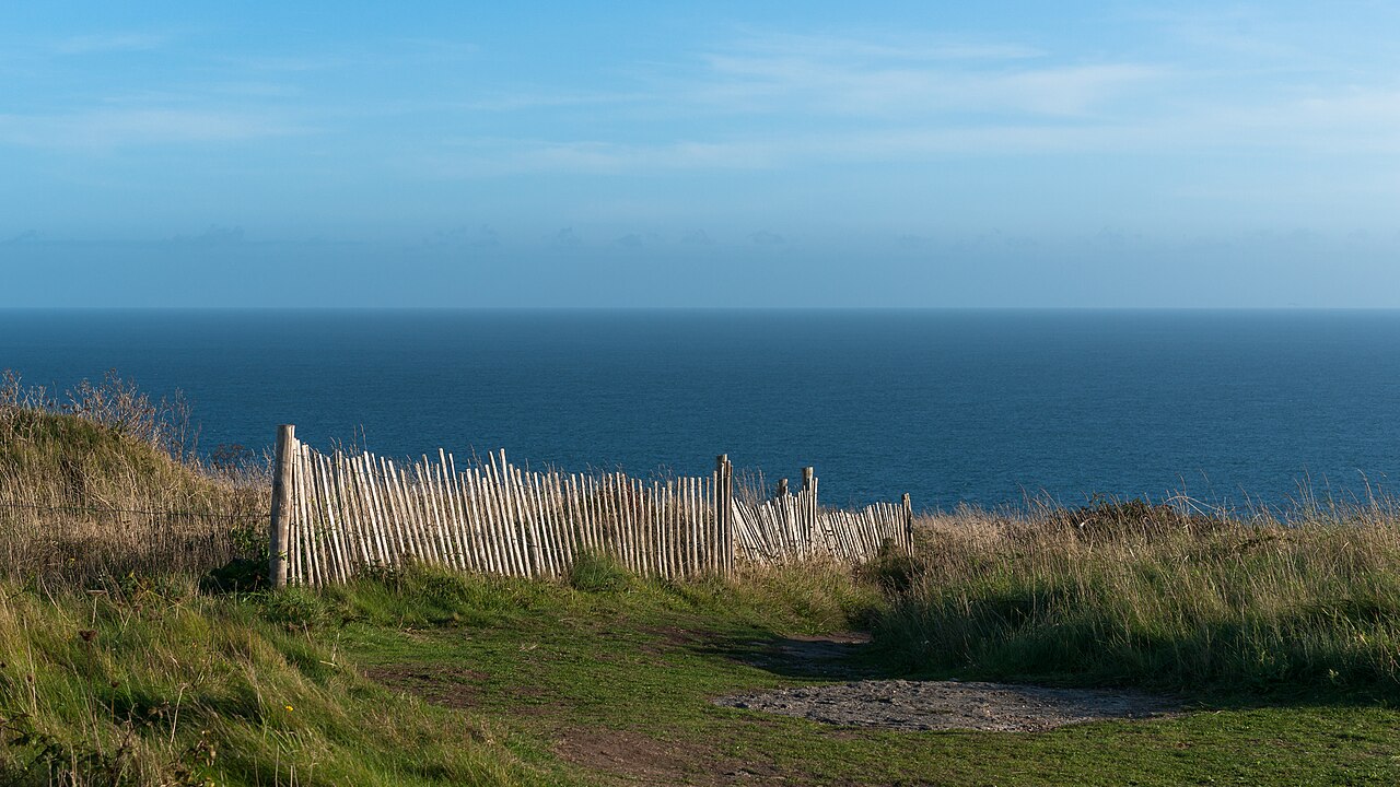 Weathered wind-shaped chestnut paling fence on an exposed coastal hillside above the sea