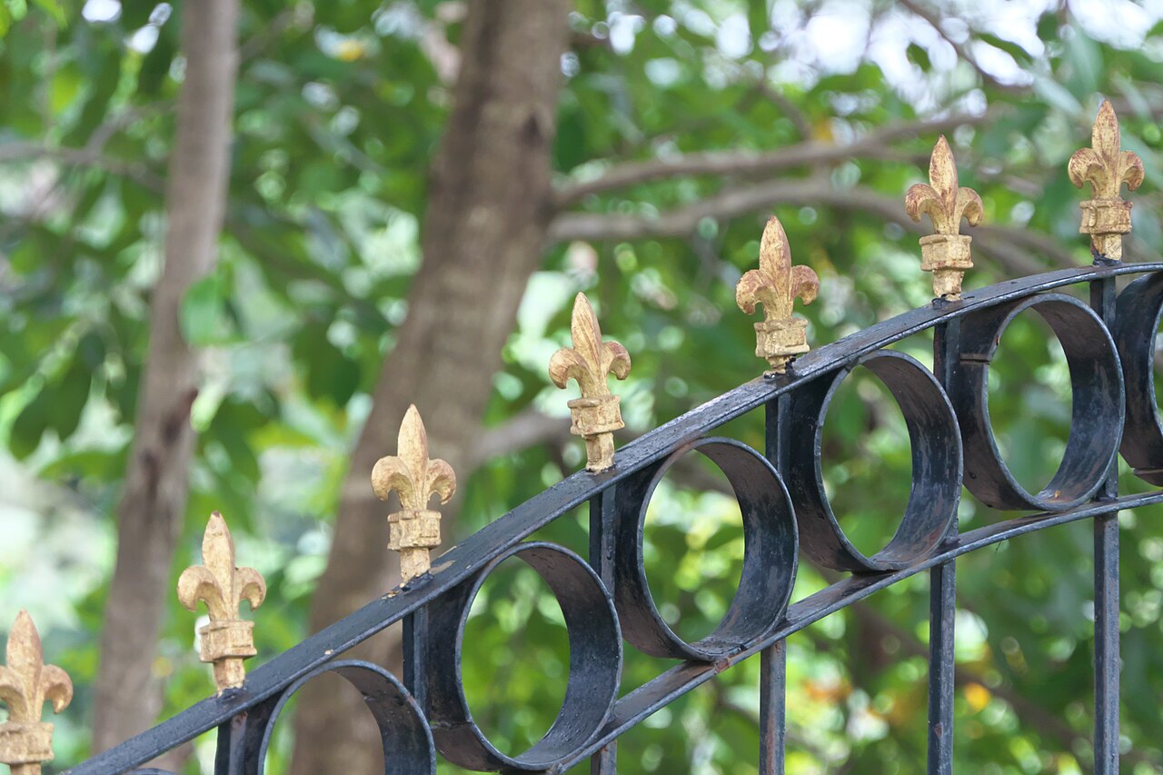 Detail of a black ornamental metal gate with gold spearhead finials
