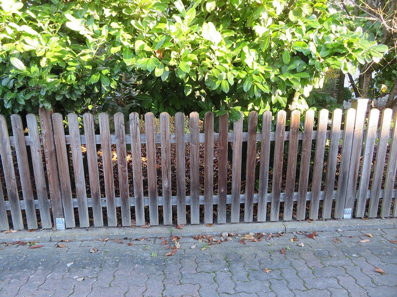 Close view of weathered timber picket fencing showing natural grain and silvered stain